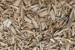 biomass boilers Worton