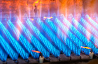 Worton gas fired boilers